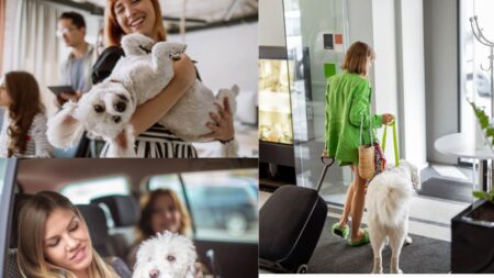 pet friendly travel accommodations