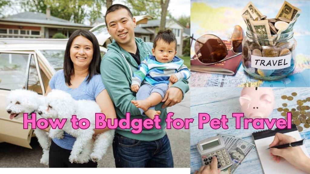 How to Budget for Pet Travel