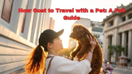 Cost to travel with a pet