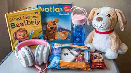 Airplane Travel Essentials For Kids'